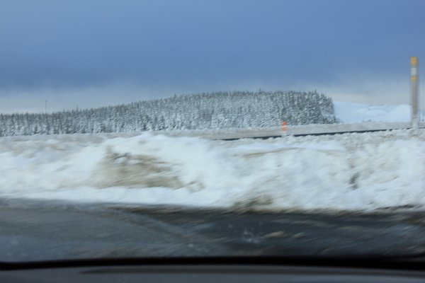 New Camera Dec2010 211